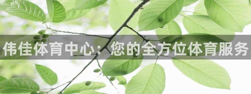 尊龙d88官网QU来就送38